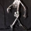 john-zinner-skelett